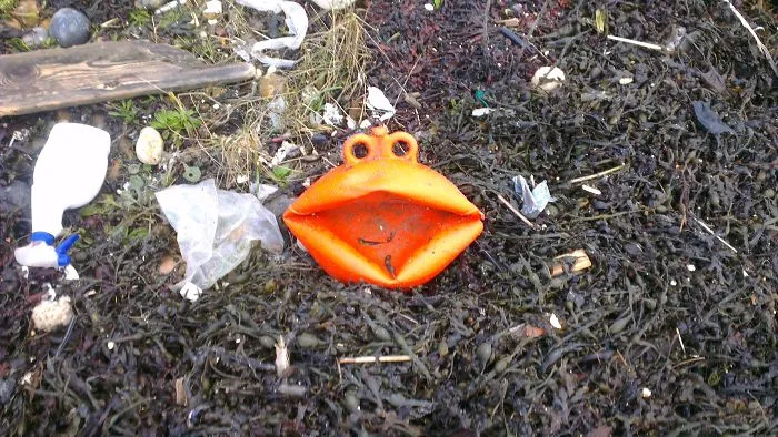 Frog Bouy