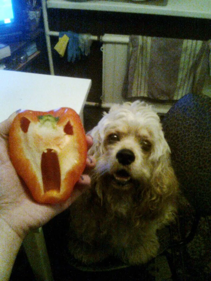 Scared Pepper