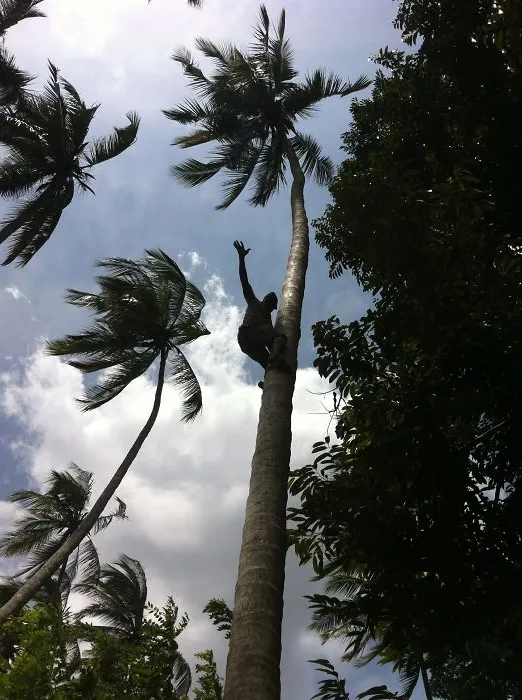 Up! At Zanzibar By @rnkpy
