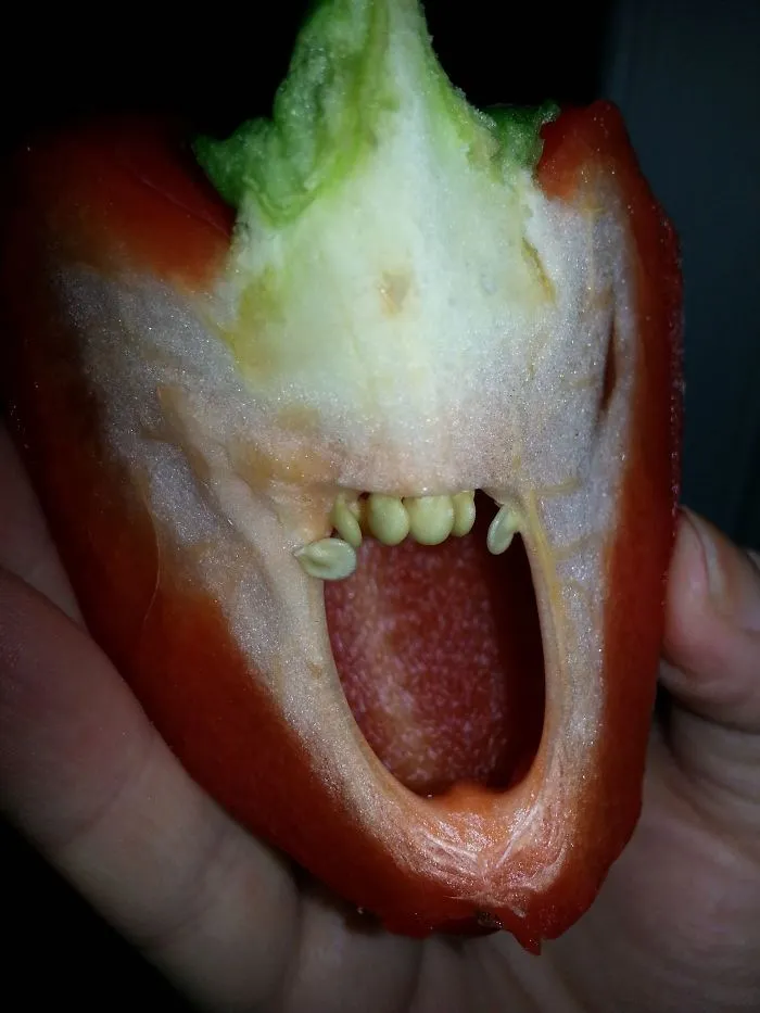 Demonic Pepper