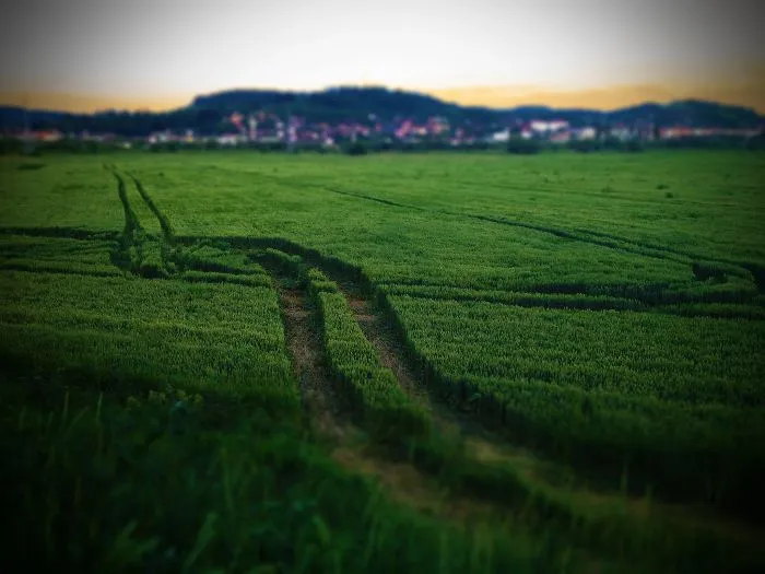 4s Crop Tracks