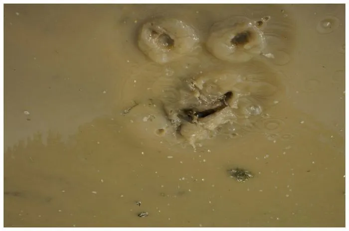 Mudface