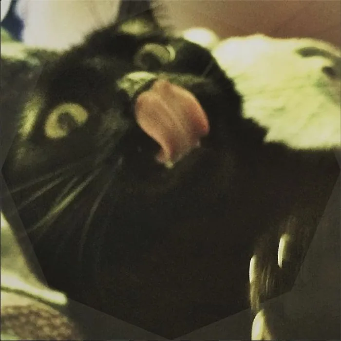 Because She Eats What She Wants