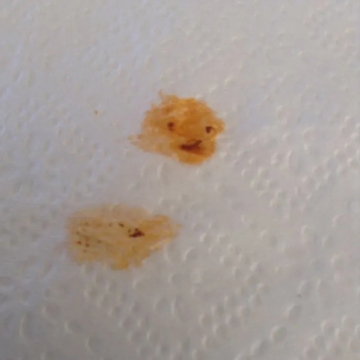 Sauce Stain