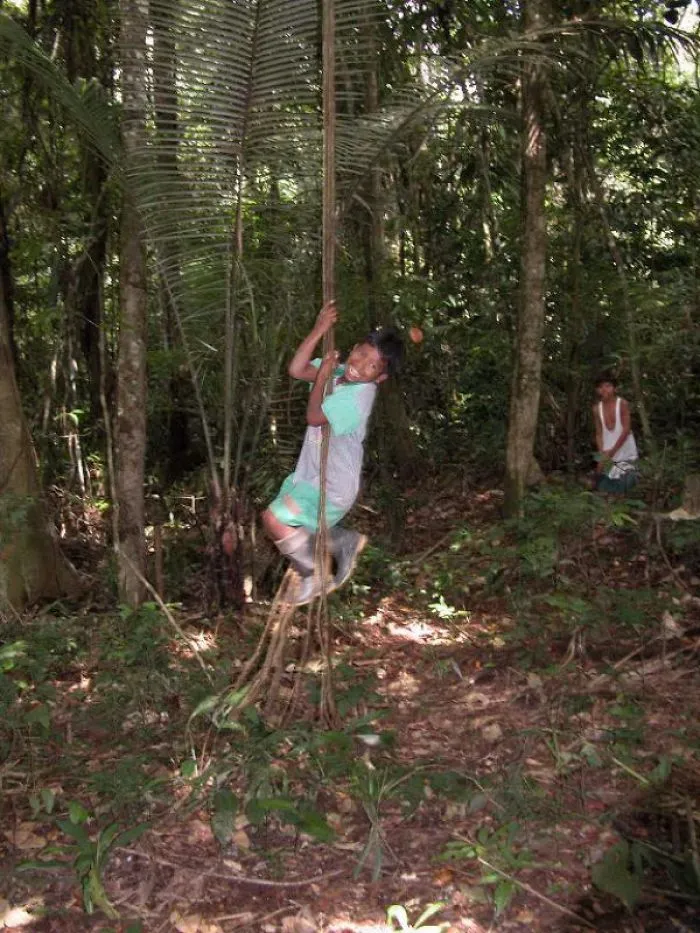 Peruvian Amazon "playground"