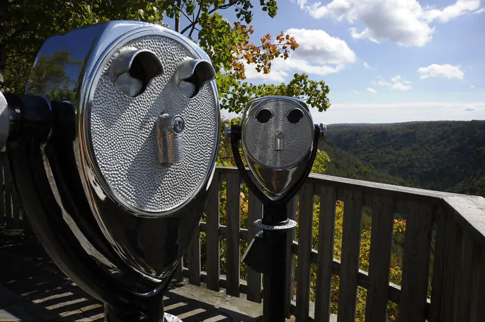 The Lookouts