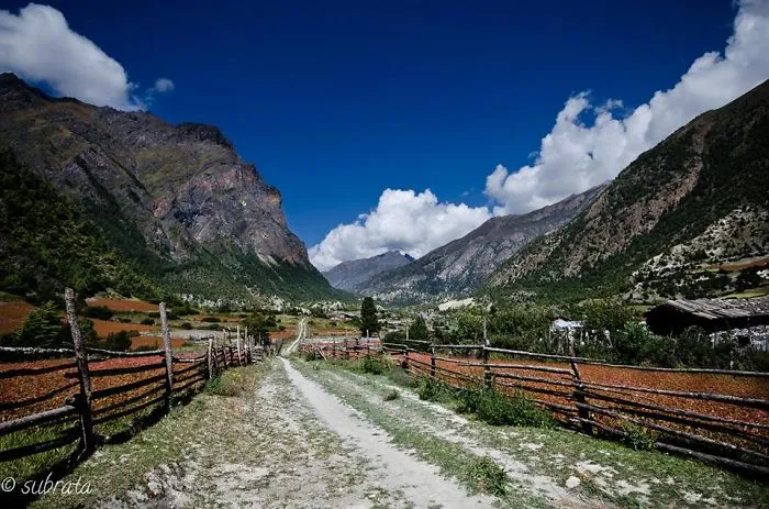 #15 Nepal Mounten