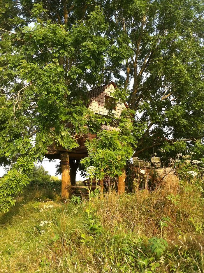 Jolph &amp; Luca's Treehouse In Sussex