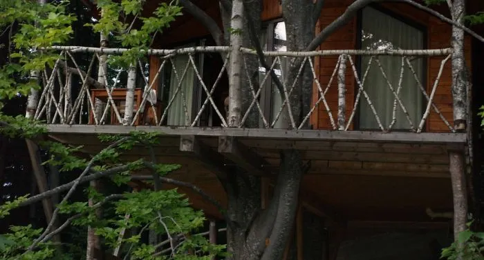 Treehouse 1 In Predeal, Romania