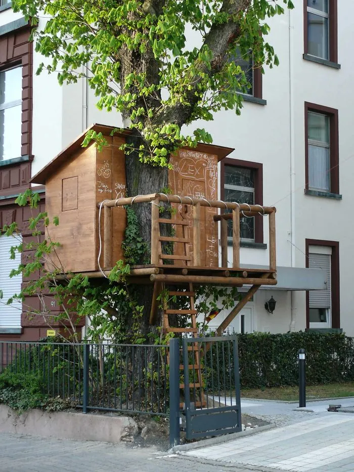 Growing Up:    Treehouse In Downtown Frankfurt Am Main - Germany