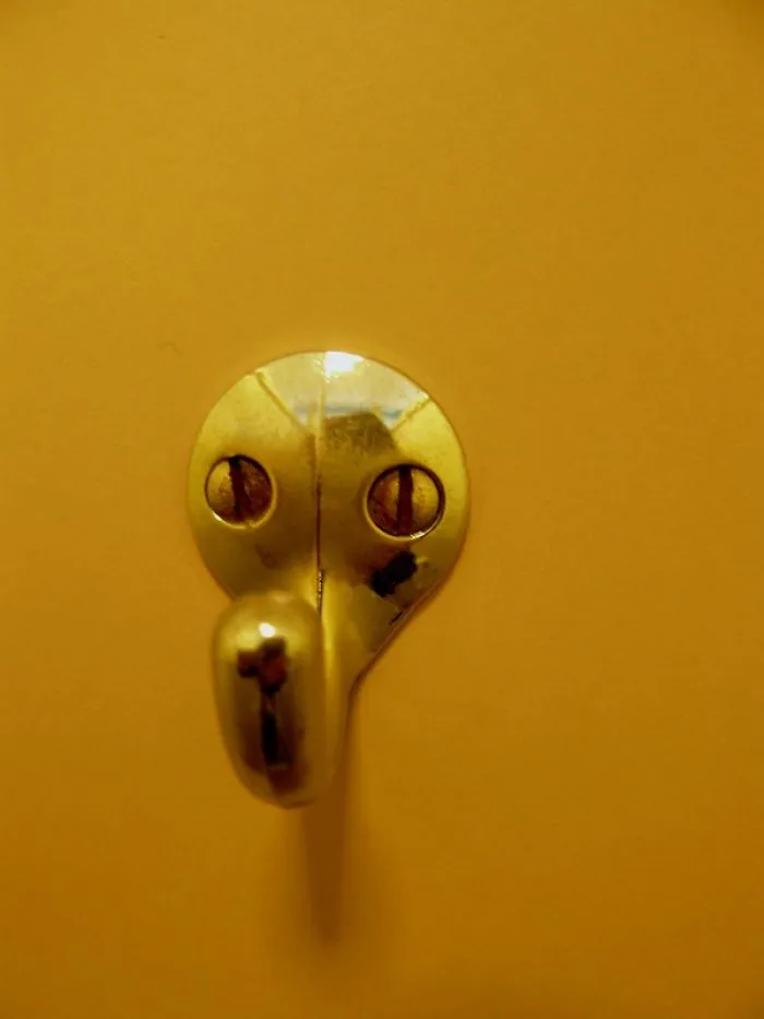 Toilet Hook Duck