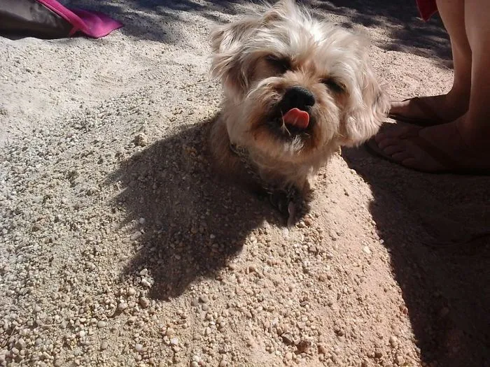 Buried In The Sand