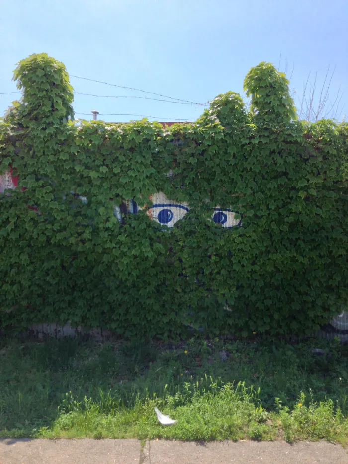 Eyes On You, Dwight Street, Red Hook, Brooklyn Via Brooklyn Imbecile