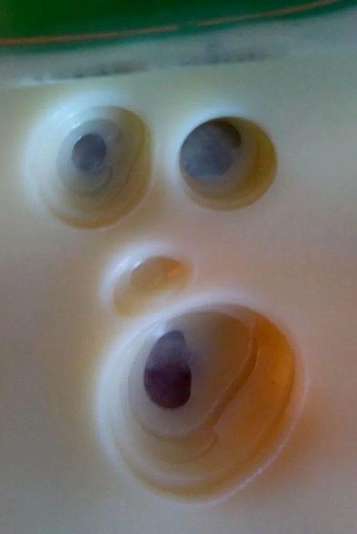 Screaming Cheese :)