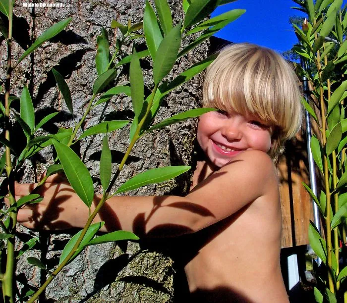 Skylar Ritter - Tree Hugger