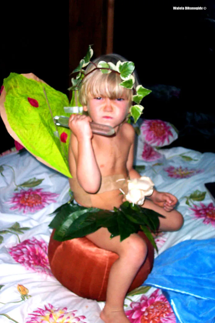 Skylar Ritter - Orange Leaves And Ivy