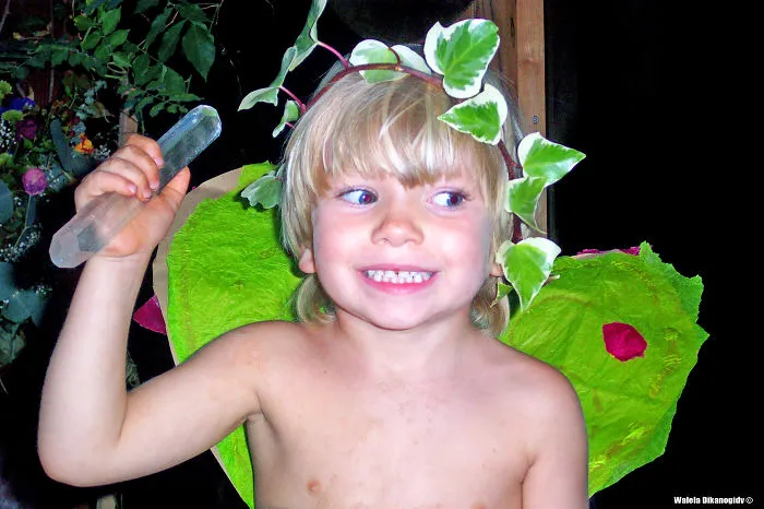 Skylar Ritter - Orange Leaves And Ivy