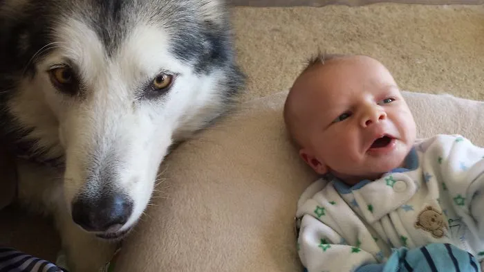A Boy & His Dog