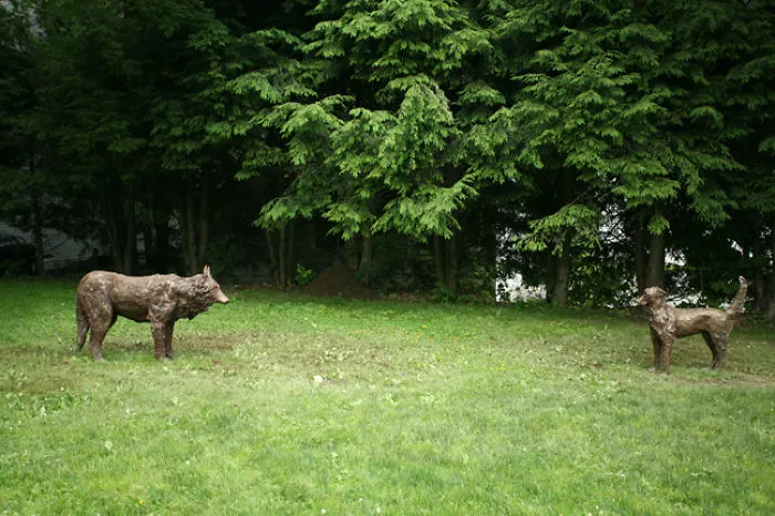 Encounter: Wolf, Dog