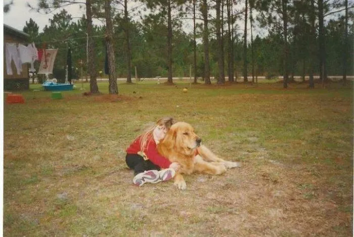 1994