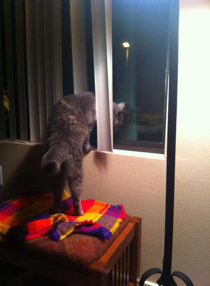It's Dark Outside...