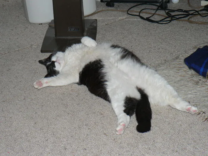 Nothing Beats The Heater On A Cold Winters Day