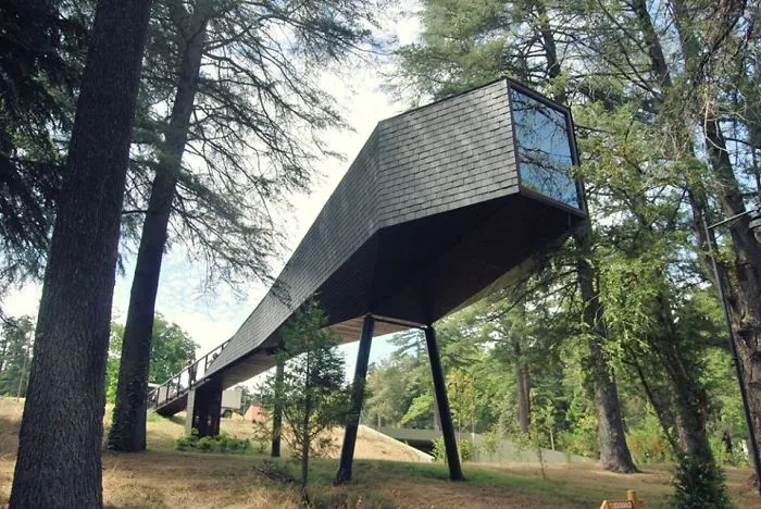 Tree House