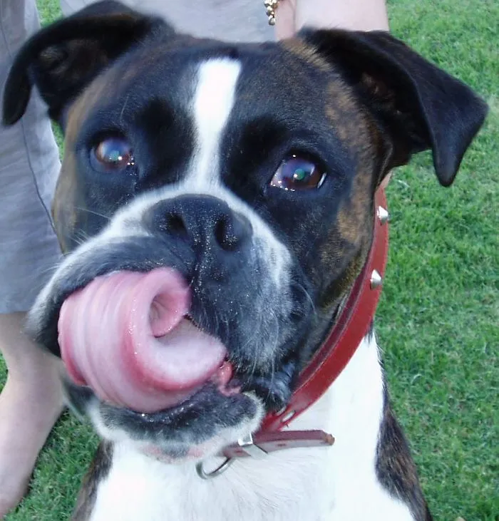 Kisses