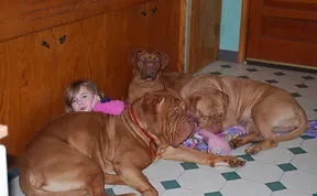 Share Pictures Of Kids And Their Big Dogs