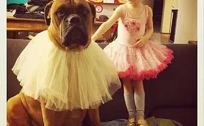 Share Pictures Of Kids And Their Big Dogs