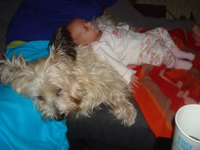 Noor With Bowie