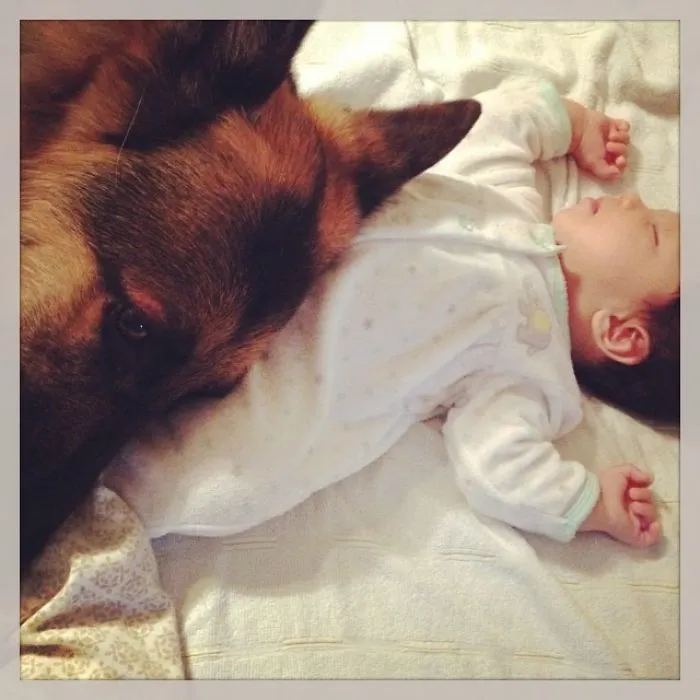 Olivia And August