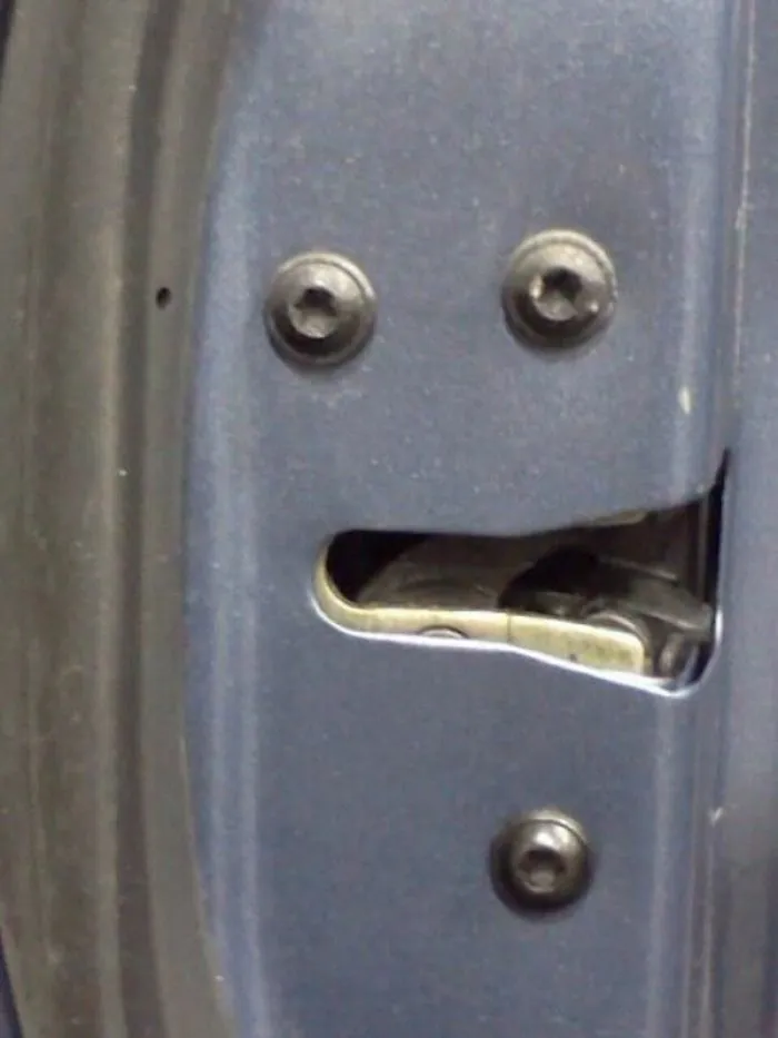 Car Door Guy