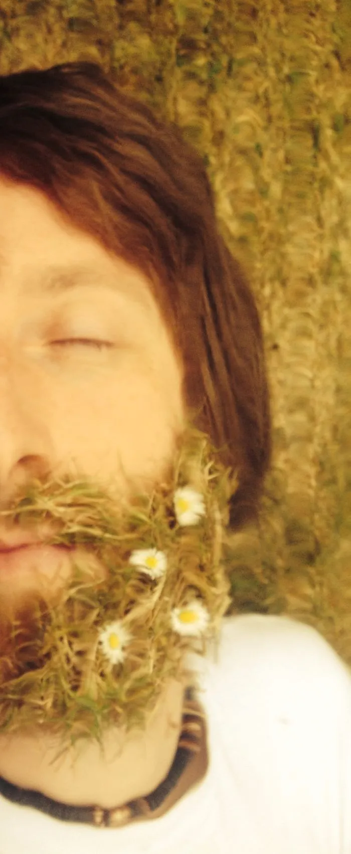 Toms Beard Garden