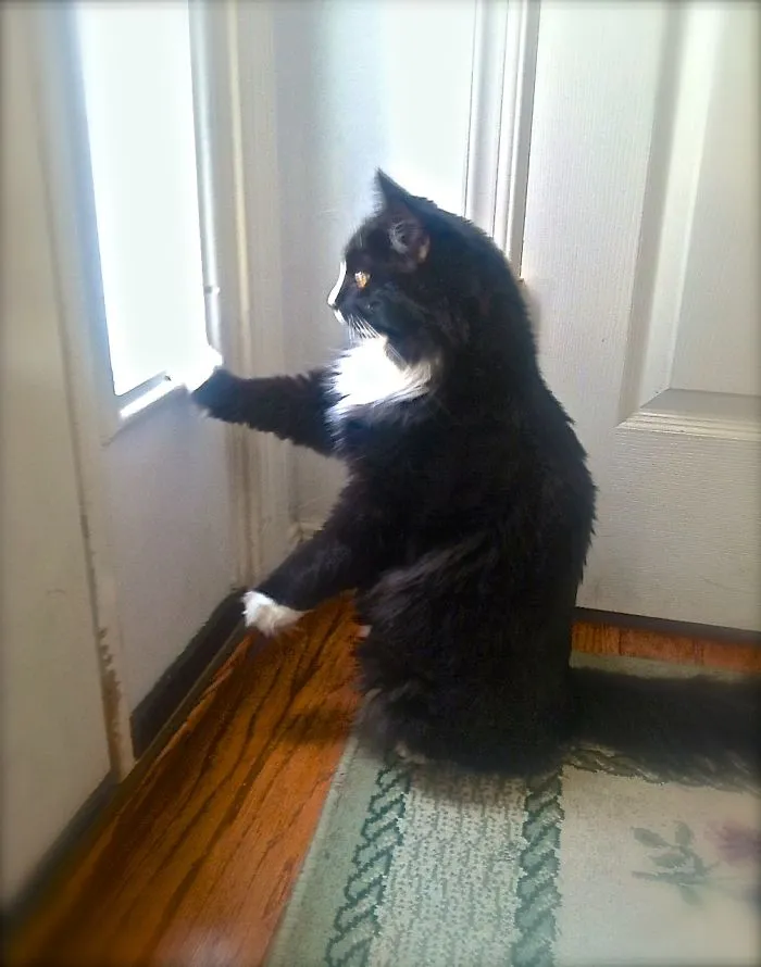 No Soliciting.