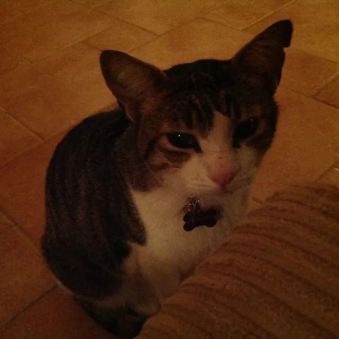 Mommy, Can I Sit With You? Please...
