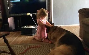 Share Pictures Of Kids And Their Big Dogs