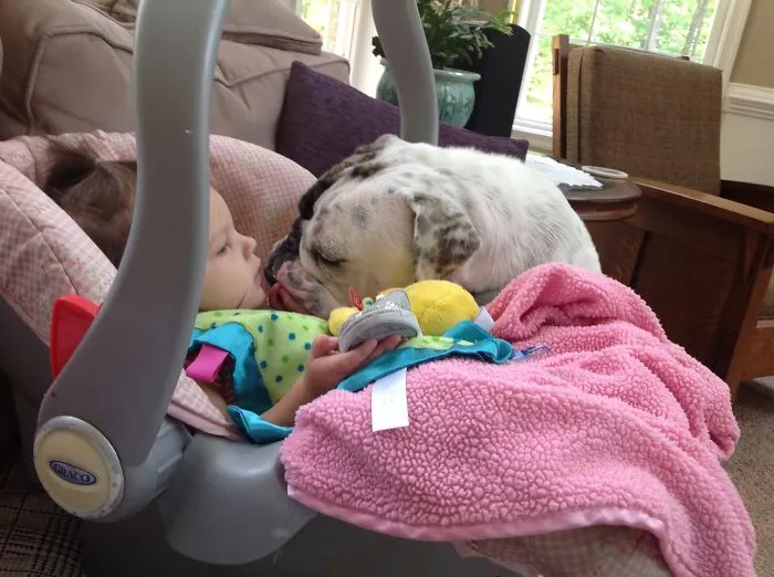 Babysitting...