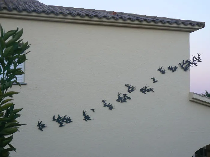 Flock Of Swallows, By Marc GraÑÉn