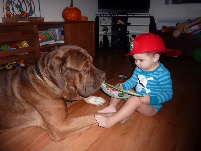 Goya & Emilo