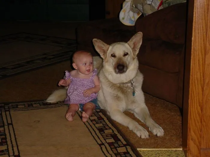 Lexi With Heidi Our Blonde Shepard