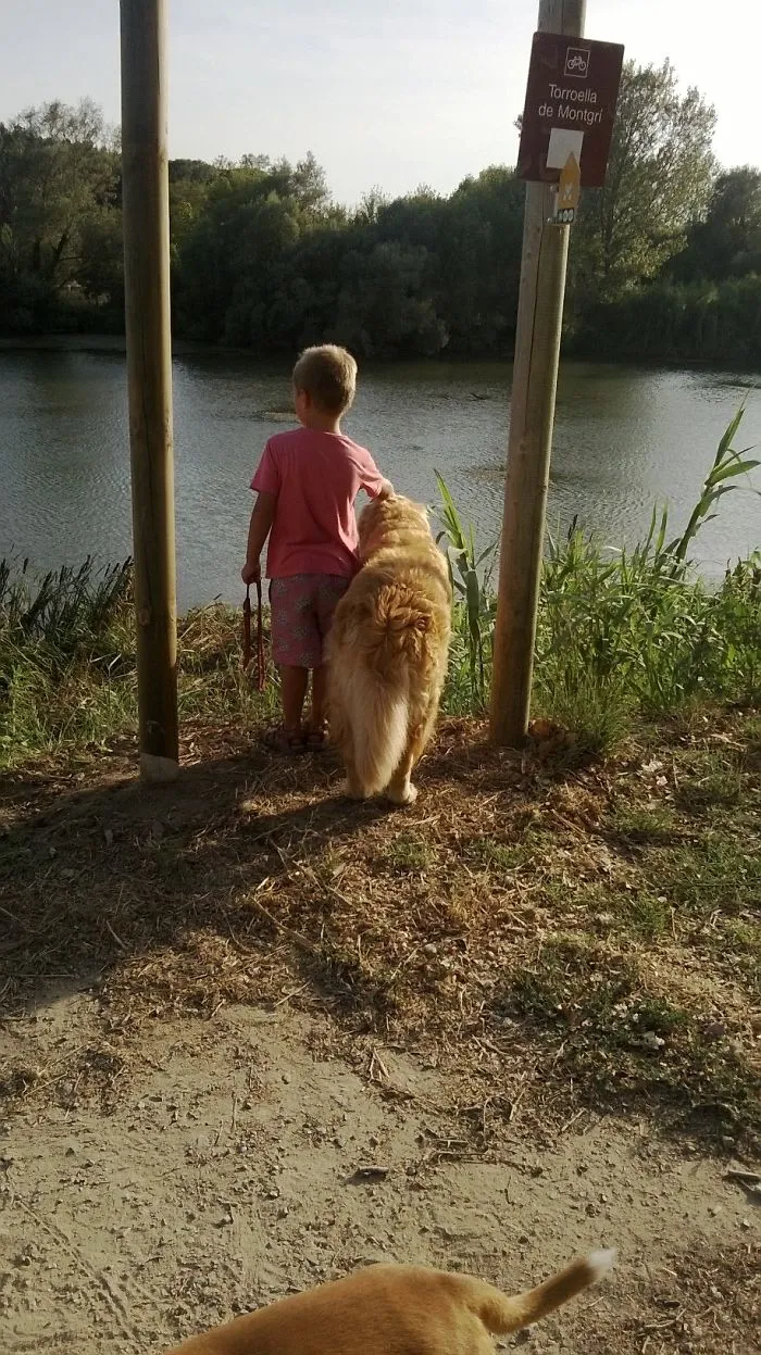 Lago