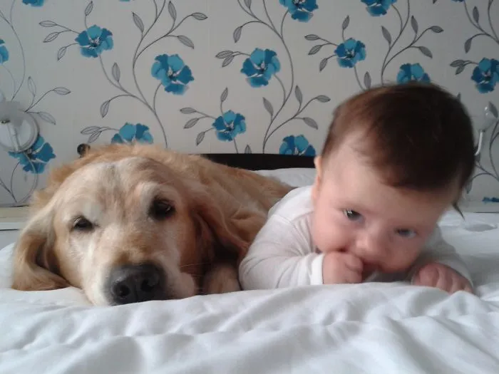 Lora (5 Years Old) &amp; Baby Nikola (3 Months Old) From Bulgaria