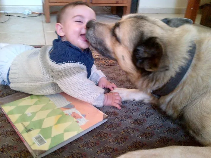 Baby Ariel With Sap The Family Dog