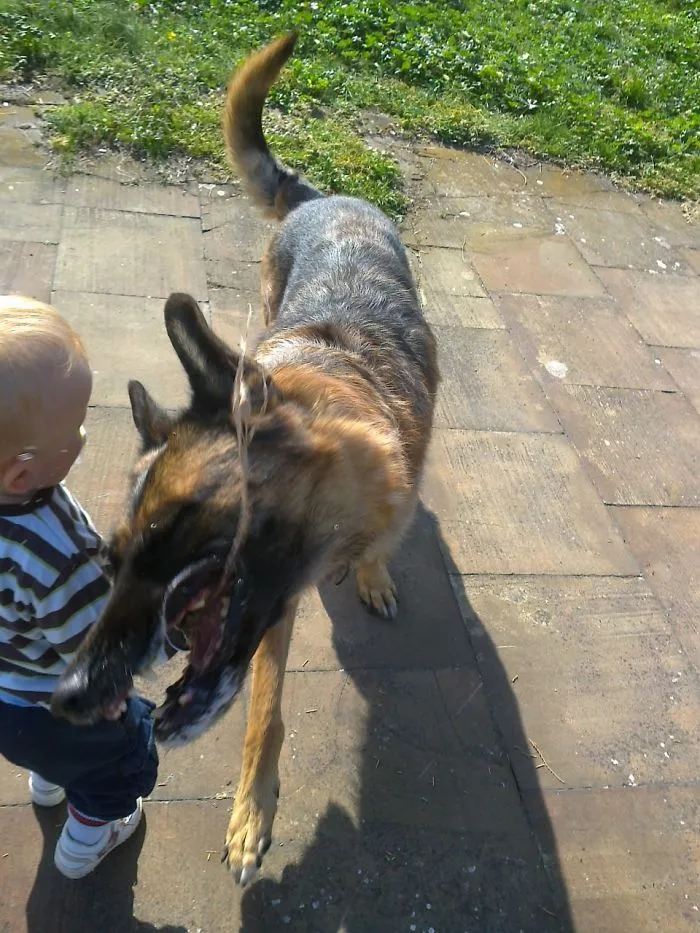 Andrej And Farra Playing Outside....