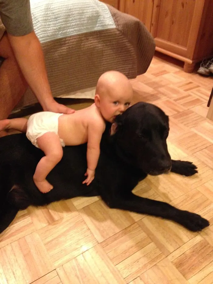 Dutch And Ellie