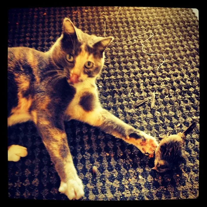 Murderer.