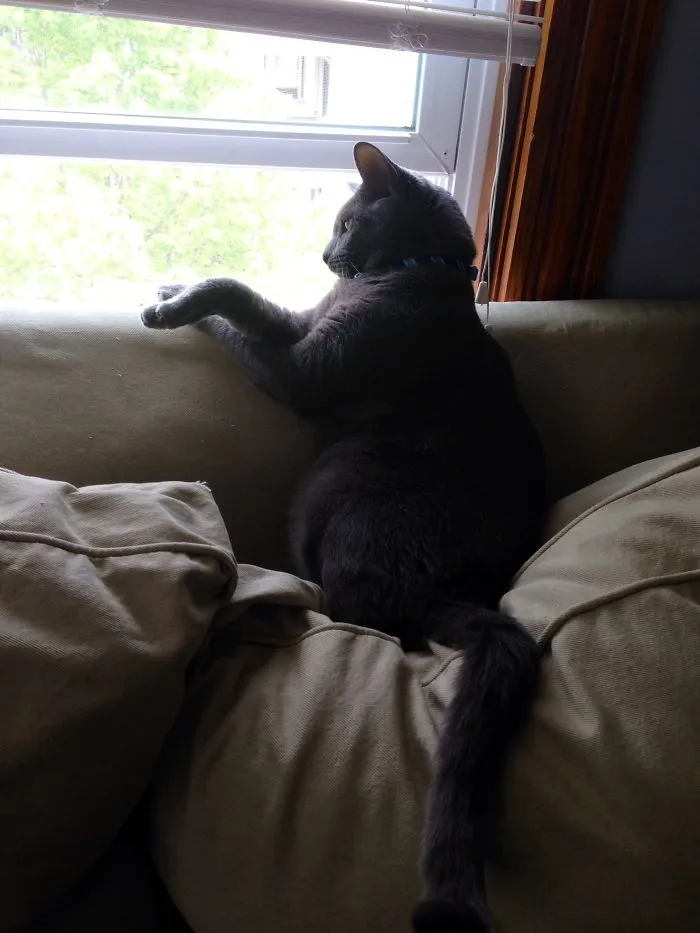 This Is Gatsby