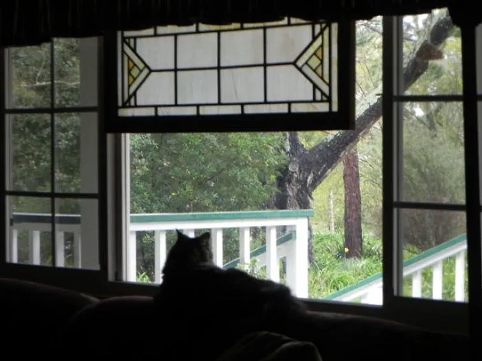 A Rainy Day