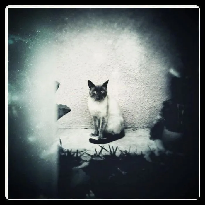 I Miss You...